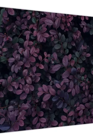 Premium Schilderij - Donkerrode bladeren