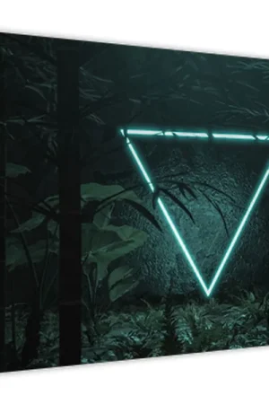 Schilderij - Neon driehoek in de jungle Rabat