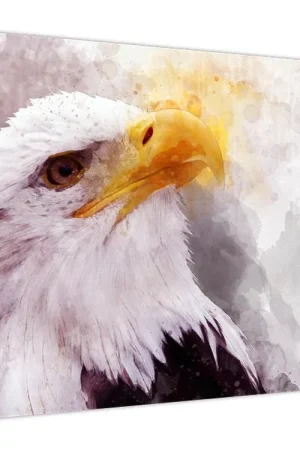 Ekspresowa dostawa Schilderij - Adelaar