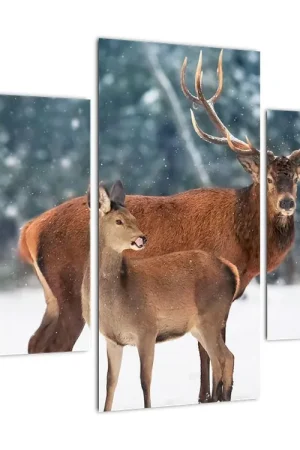 Schilderij - Hert met hinde Nowość