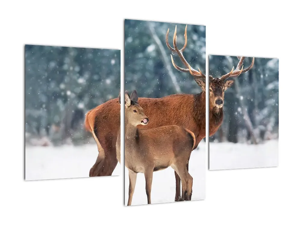 Schilderij - Hert met hinde Nowość