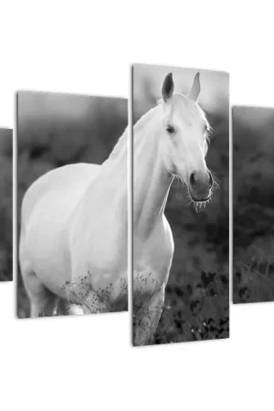 Oferta limitowana Schilderij - Wit paard in het weiland, zwart-wit