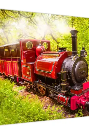 Schilderij - Stoomtrein Premium