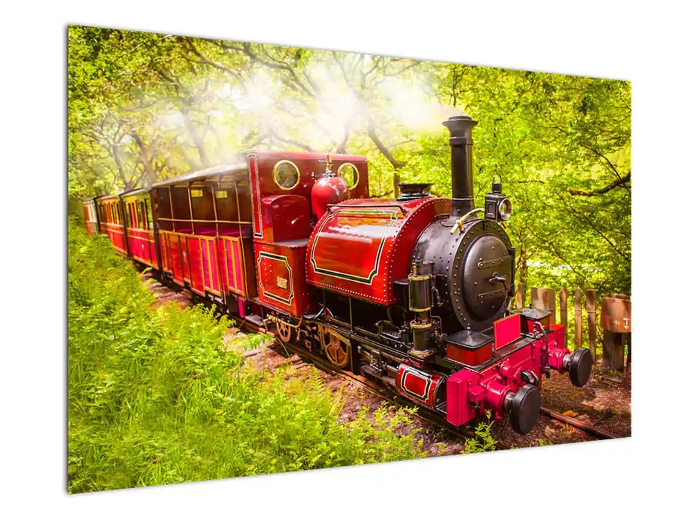 Schilderij - Stoomtrein Premium