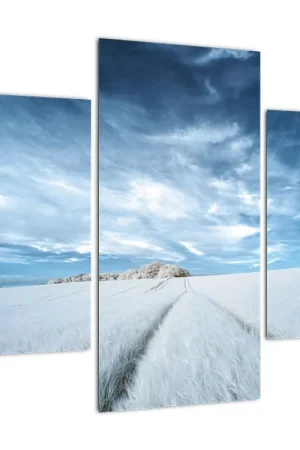 Schilderij - Veld Premium