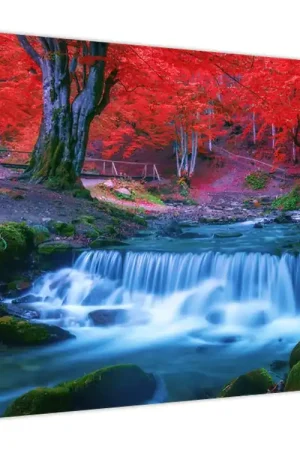 Schilderij - Waterval in rood bos Tylko dziś