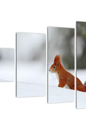 Niska cena Schilderij - Eekhoorn