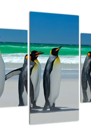 Schilderij - Groep van Schlegels pinguïns Zwrot pieniędzy