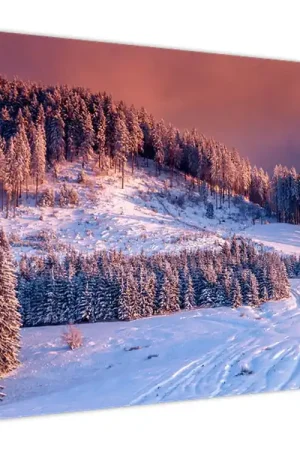 Najlepsza cena Schilderij - Winterlandschap