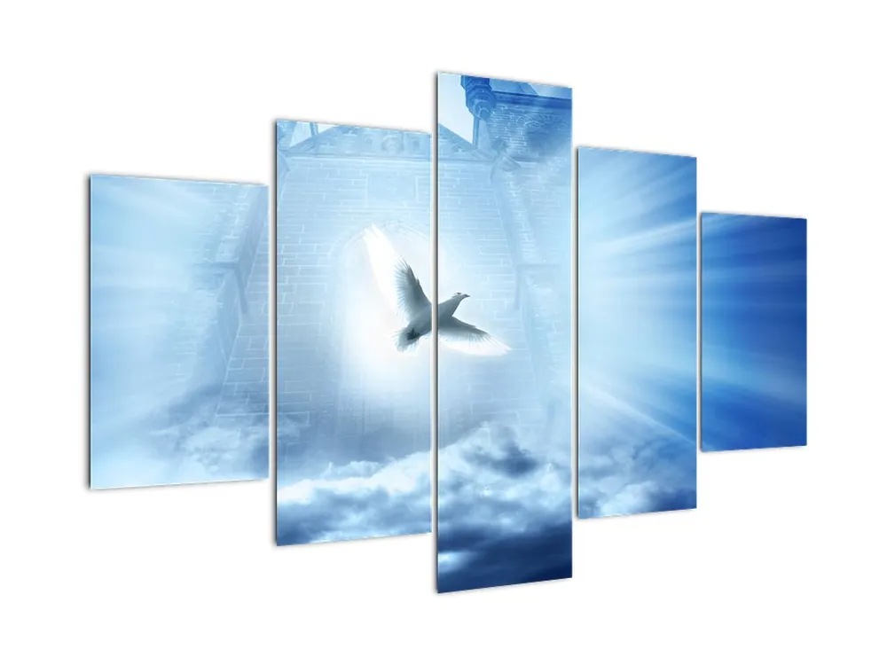 Zwrot pieniędzy Schilderij - Goddelijke duif