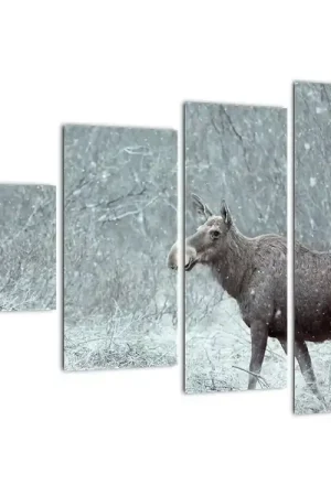 Oferta limitowana Schilderij - Eland in een besneeuw bos