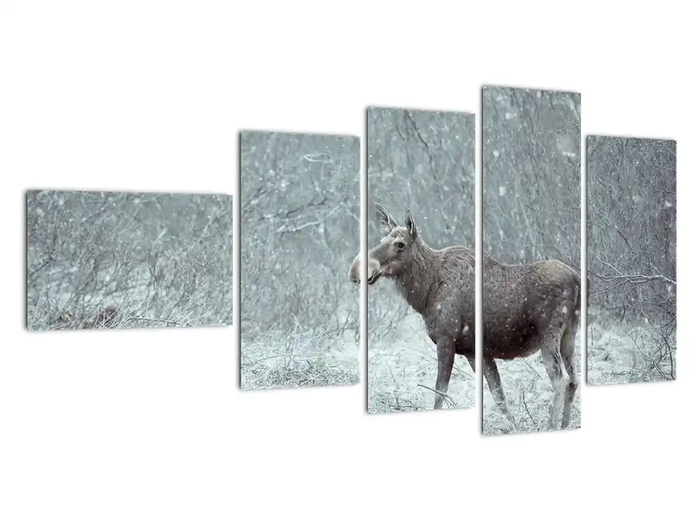 Oferta limitowana Schilderij - Eland in een besneeuw bos