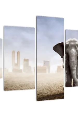 Schilderij - Baby olifant in de stad Nowość