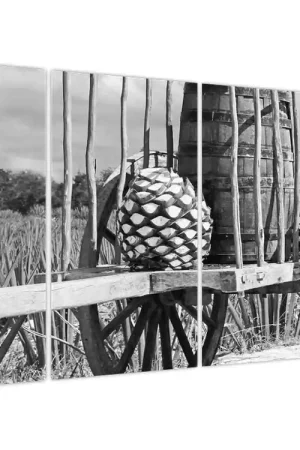 Schilderij - Aanhanger, zwart-wit Nowość