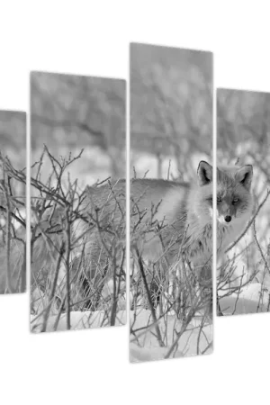 Oferta Schilderij - Vos, zwart-wit