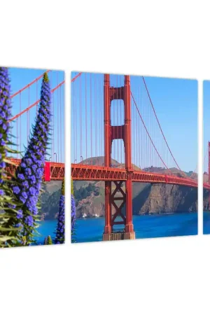 Zwrot pieniędzy Schilderij - Golden Gate Bridge, San Francisco