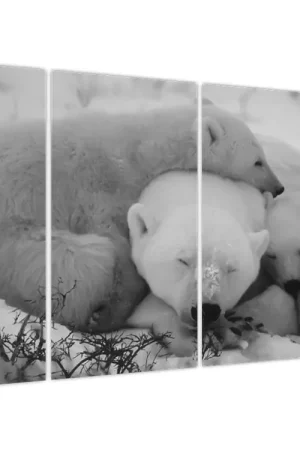 Oryginalny Schilderij - IJsbeertjes, zwart-wit