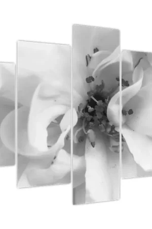 Oferta Schilderij - Bloem, zwart-wit