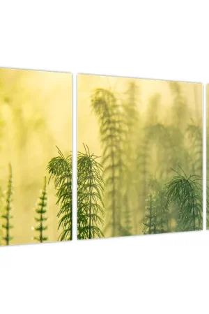 Tani Schilderij - Detail van mistige lente natuur