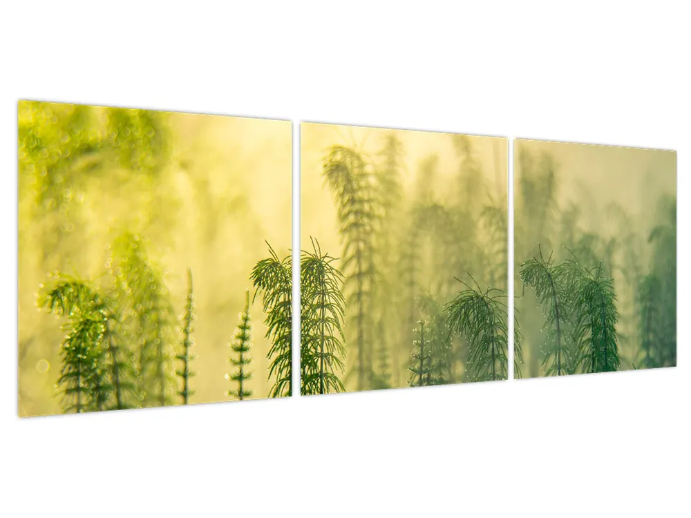 Tani Schilderij - Detail van mistige lente natuur