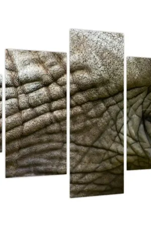 Wyprzedaż Schilderij - Close-up van het oude olifantenoog