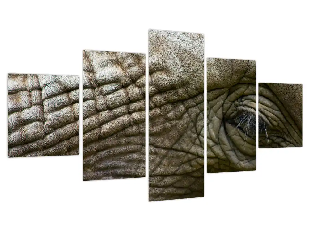 Wyprzedaż Schilderij - Close-up van het oude olifantenoog