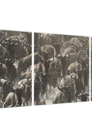 Oryginalny Schilderij - Kudde gnoes