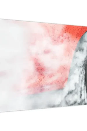 Najlepsza cena Schilderij - Racewagen