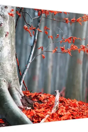 Schilderij - Herfst Wysoka jakość