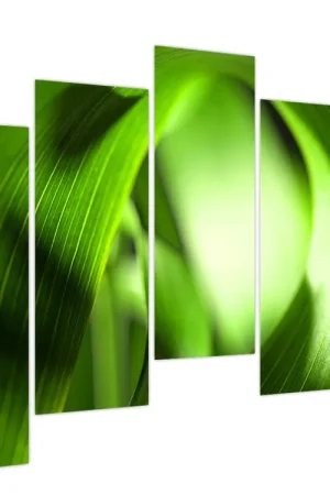 Schilderij - Een grasspriet Tylko dziś