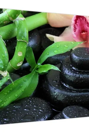 Schilderij - Stenen en orchideeën Najlepsza cena