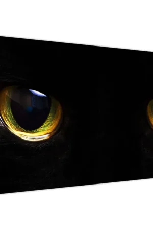 Tani Schilderij - Kattenogen