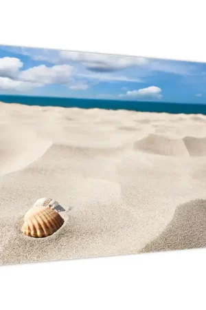 Schilderij - Schelpen op het strand Rabat