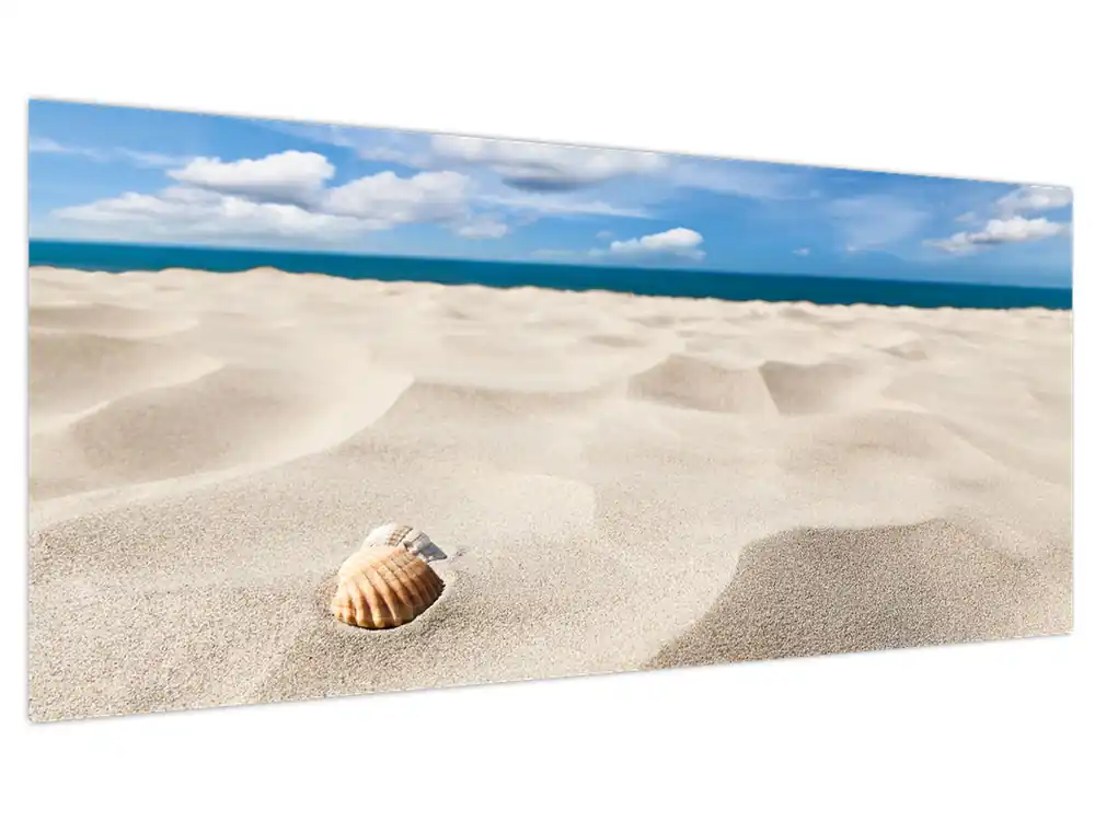Schilderij - Schelpen op het strand Rabat