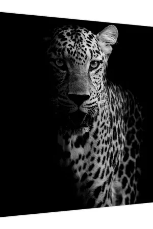 Autentyczny Schilderij - Portret van een luipaard
