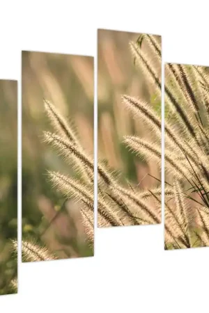 Szybka dostawa Schilderij - Korrel