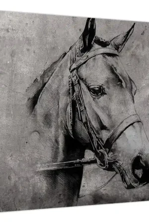 Schilderij - Portret van een paard Autentyczny