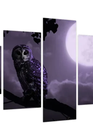 Ostatnia szansa Schilderij - Nachtuil, paars