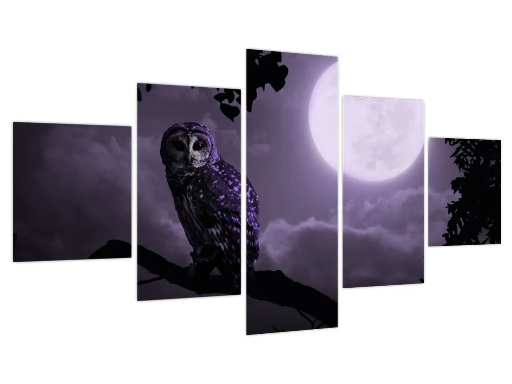 Ostatnia szansa Schilderij - Nachtuil, paars