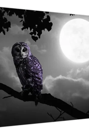 Kup teraz Schilderij - Nachtuil, paarse uil