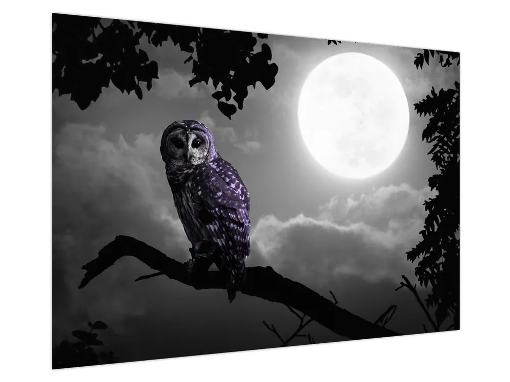 Kup teraz Schilderij - Nachtuil, paarse uil