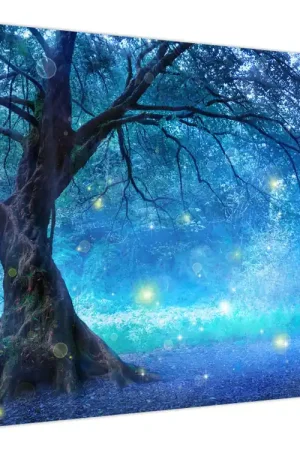 Premium Schilderij - Mystiek bos