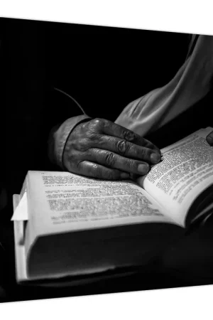 Szybka dostawa Schilderij - Boek