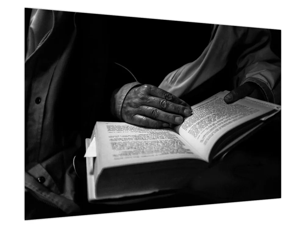 Szybka dostawa Schilderij - Boek