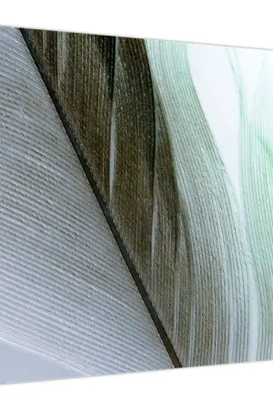 Schilderij - Veren, macro Darmowa dostawa