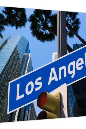 Tani Schilderij - Los Angeles