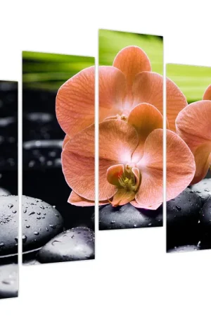 Schilderij - Oranje orchidee met palmbladeren Tylko dziś