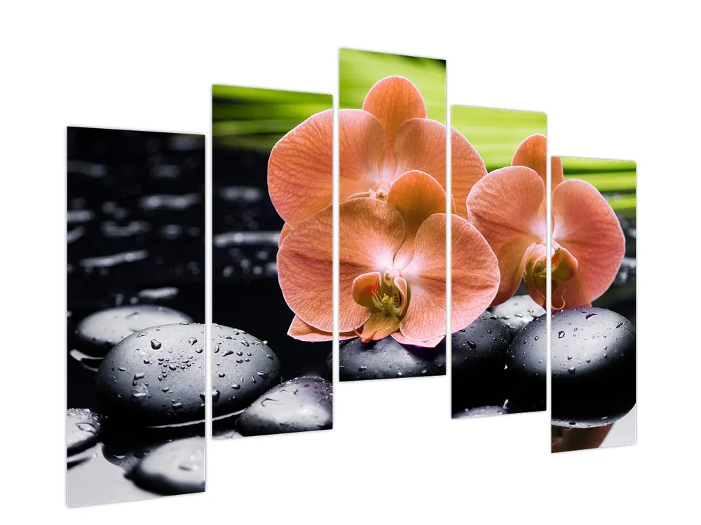 Schilderij - Oranje orchidee met palmbladeren Tylko dziś