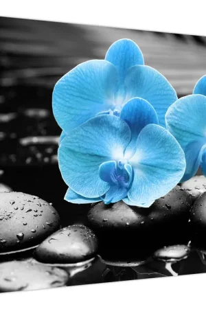 Ostatnia szansa Schilderij - Blauwe orchidee