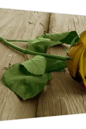 Oferta limitowana Schilderij - Vintage gele rozen